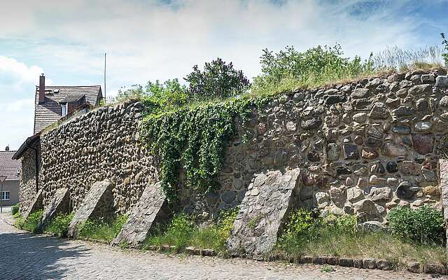 Stadtmauer von Lychen
