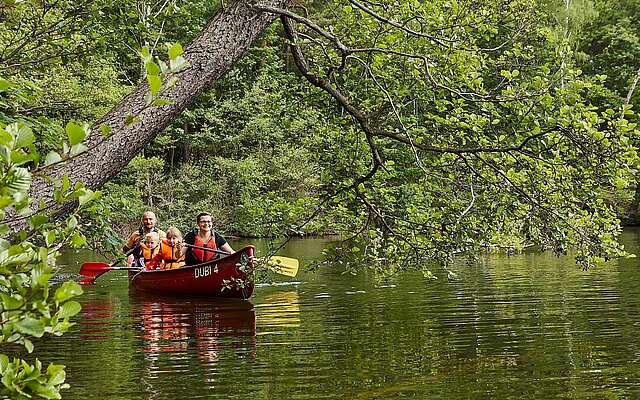 Familien-Kanutour im Naturpark Dahme-Heideseen