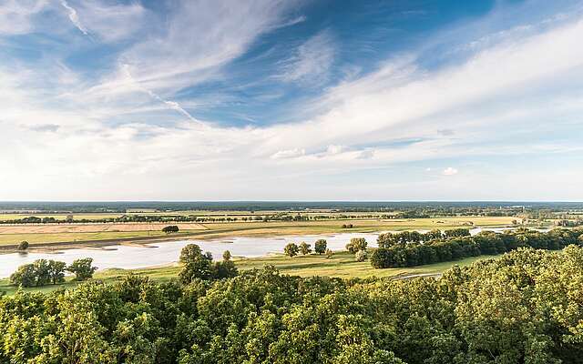 Blick über die Elbtalaue