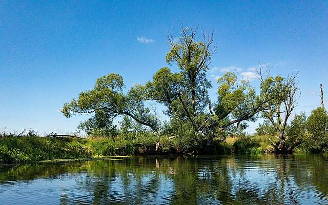 Landschaft an der Müggelspree