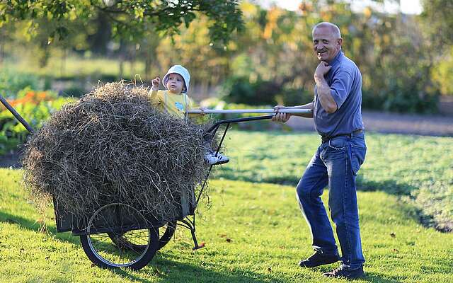 Heuernte zur Brandenburger Landpartie