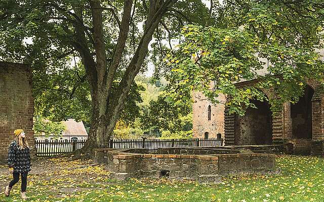Herbstwanderung zum Kloster Chorin