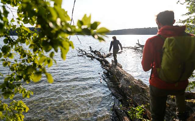 Wanderer am Stechlinsee