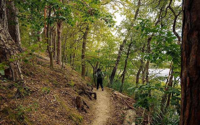 Frau auf dem 66-Seen-Wanderweg