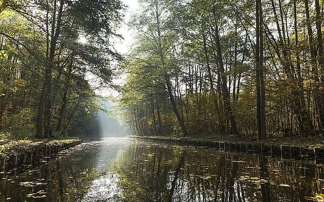 Kanuwanderung im Ruppiner Seenland