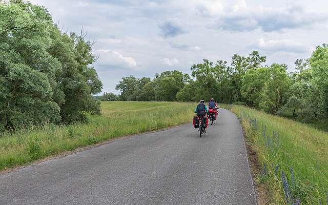Radfahrer im Nationalpark Unteres Odertal