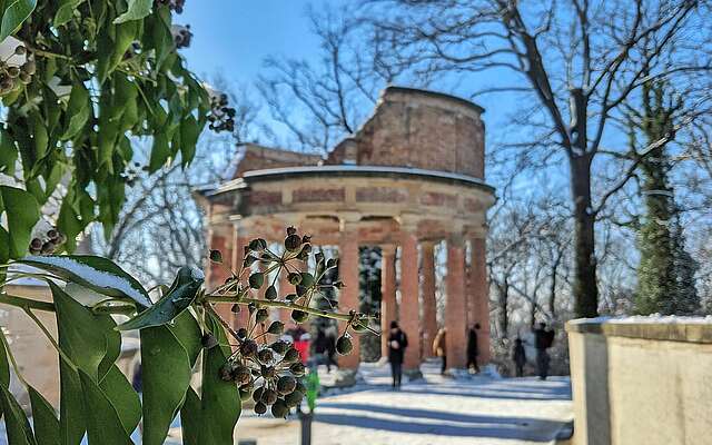 Winterspaziergang Ruinenberg