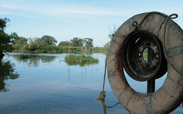 Alter Schwimmreifen vor dem Gülper See