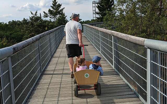 Unterwegs auf dem Baumkronenpfad