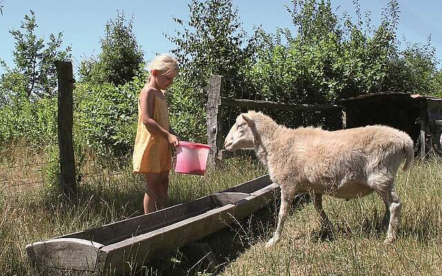 Brandenburger Landpartie