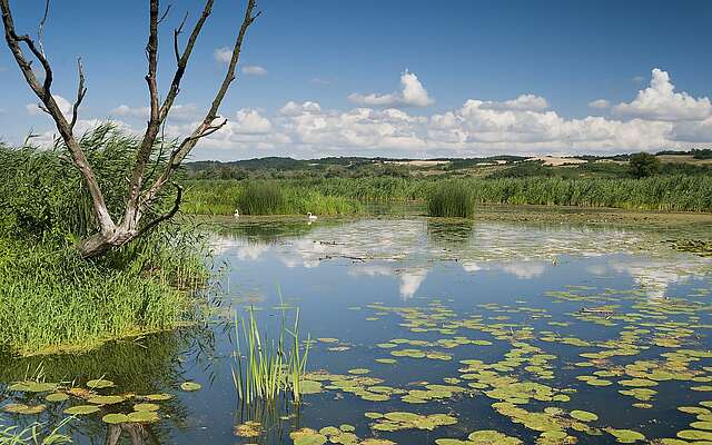 Nationalpark Unteres Odertal