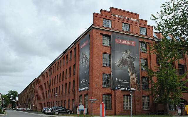 Plastinarium Guben