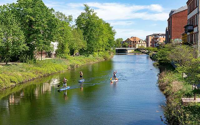 Stand Up Paddeling auf der Havel