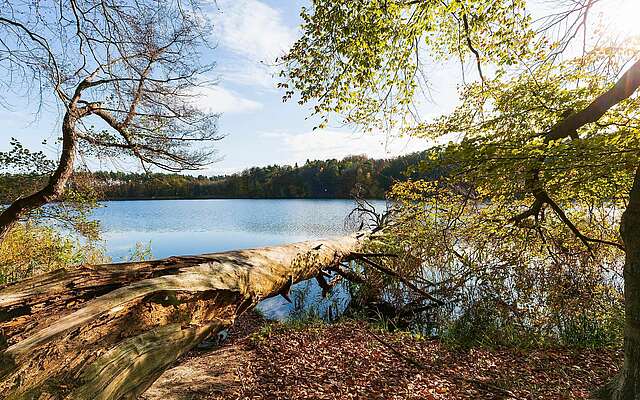 Herbst am Hellsee