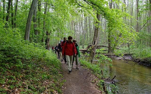 Wanderer auf der Naturparkroute in der Märkischen Schweiz