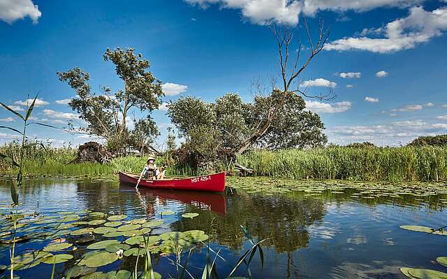 Kanu im Nationalpark Unteres Odertal