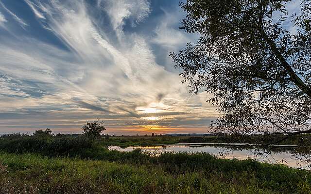 Im Naturpark Westhavelland