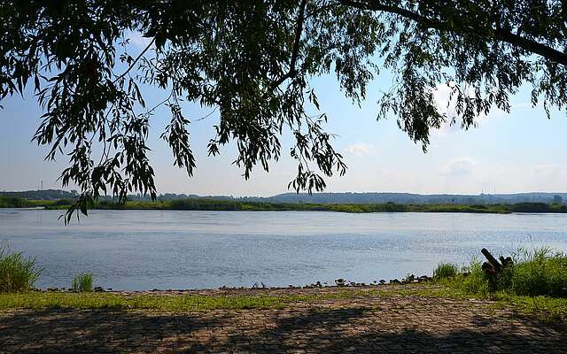 Oder Strand Frankfurt Oder