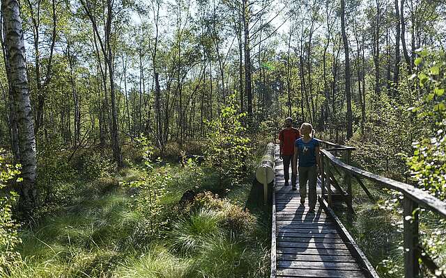 Besucher erkunden den Moorerlebnispfad bei Menz
