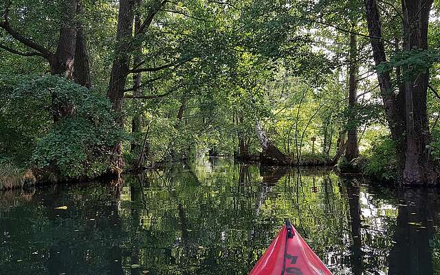 Mit dem Kajak unterwegs im Spreewald