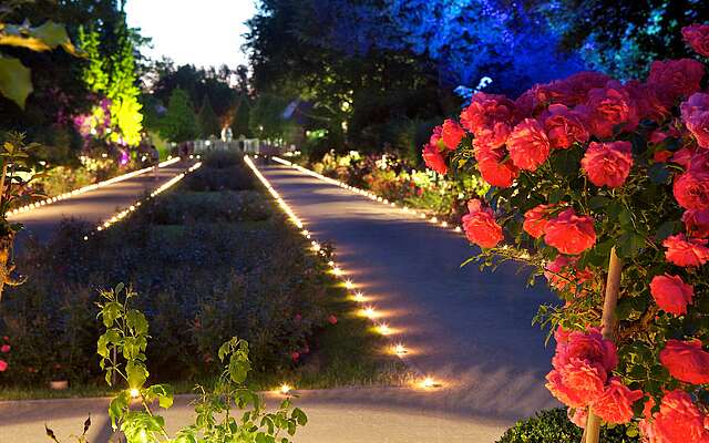 Ostdeutscher Rosengarten Forst