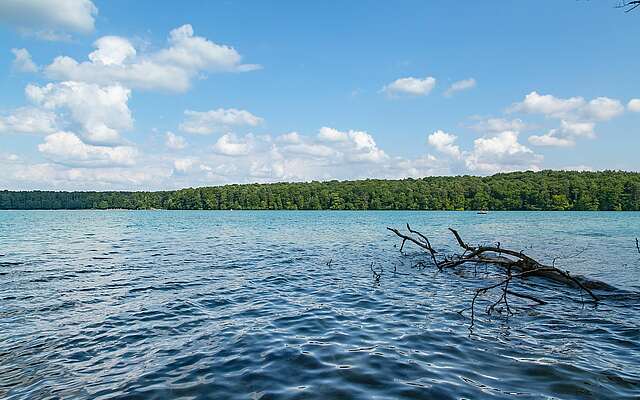 Blick auf den Stechlinsee