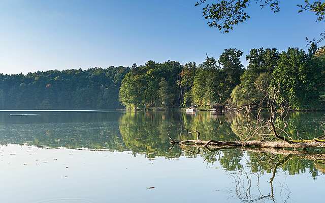 Wirchensee im Naturpark Schlaubetal