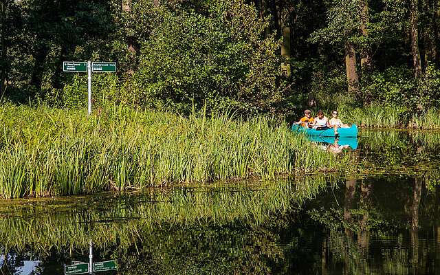 Kanutour im Spreewald
