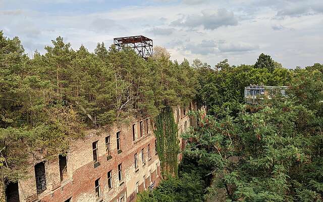 Ausblick vom Baumkronenpfad