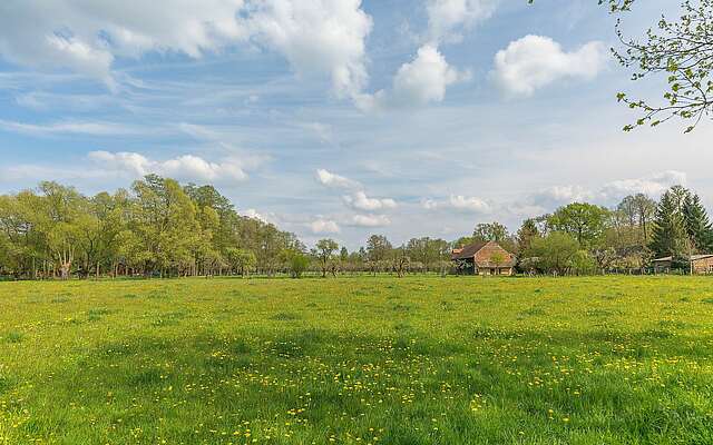 Wiesenlandschaft bei Burg im Spreewald