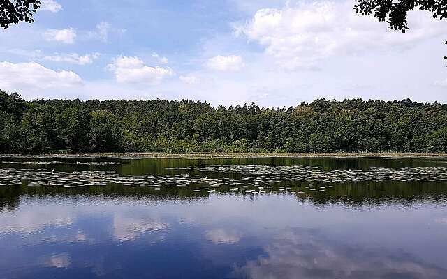 Strehlesee im Naturpark Barnim